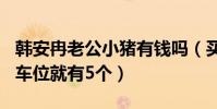 韓安冉老公小豬有錢嗎(買下430平米別墅只車位就有5個)
