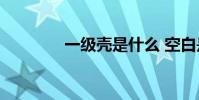 一級殼是什么 空白是什么?
