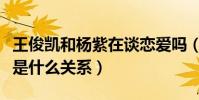 王俊凱和楊紫在談戀愛嗎(王俊凱和楊紫現在是什么關系)