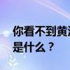 你看不到黃河的水是如何流出天堂的 下一句是什么？