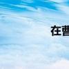 在曹穎心中 在漢代:50字