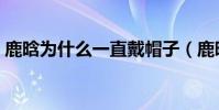 鹿晗為什么一直戴帽子(鹿晗為什么能摸框)