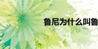 魯尼為什么叫魯小胖