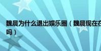 魏晨為什么退出娛樂圈(魏晨現在在做什么他被雪藏是真的嗎)