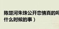 陳楚河朱珠公開戀情真的嗎(兩人在一起了嗎什么時候的事)