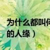 為什么都叫何炅為何老師（他是娛樂圈出了名的人緣）