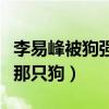 李易峰被狗強吻什么梗（粉絲調侃自己愿意做那只狗）