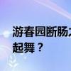 游春園斷腸之日描寫的是什么植物 曾經迎風起舞？