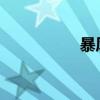 暴風雪年主要內容簡介