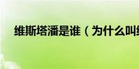 維斯塔潘是誰(為什么叫維斯塔潘丑潘)
