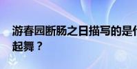 游春園斷腸之日描寫的是什么植物 曾經迎風起舞?