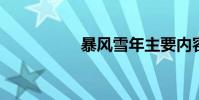 暴風雪年主要內容簡介