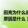 田亮為什么選葉一茜（葉一茜和田亮在一起的原因是什么）