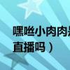 嘿咝小肉肉是什么梗（懷孕退出了YY現在還直播嗎）