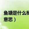 魚塘是什么梗（網上流行的承包魚塘到底是啥意思）