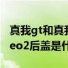 真我gt和真我gtneo2后蓋一樣嗎（真我GTNeo2后蓋是什么材質）