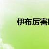 伊布厲害嗎（11伊布為什么那么貴）
