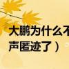 大鵬為什么不火了（爆紅之后的他為什么又銷聲匿跡了）