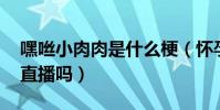 嘿咝小肉肉是什么梗(懷孕退出了YY現在還直播嗎)