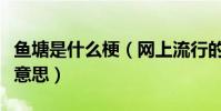魚塘是什么梗(網上流行的承包魚塘到底是啥意思)