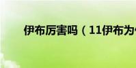 伊布厲害嗎(11伊布為什么那么貴)