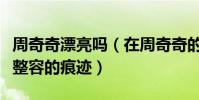 周奇奇漂亮嗎(在周奇奇的臉上搜索不到一絲整容的痕跡)