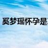 奚夢瑤懷孕是真的嗎（何獻君對此說了什么）