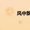 風中飄動的銀杏葉改成比喻句