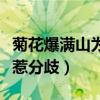 菊花爆滿山為什么是禁歌（德云七隊翻唱走紅惹分歧）
