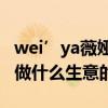 wei’ya薇婭老公叫什么名字（薇婭的老公是做什么生意的）