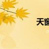 天窗的主要內容是什么？