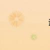 親子主內容100字