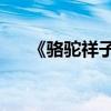 《駱駝祥子》第四篇100字的主要內容