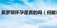 奚夢瑤懷孕是真的嗎(何獻君對此說了什么)