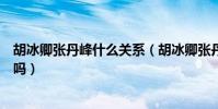 胡冰卿張丹峰什么關系(胡冰卿張丹峰吻戲假戲真做是真的嗎)