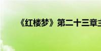 《紅樓夢》第二十三章主要內容簡介