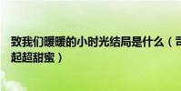 致我們暖暖的小時光結局是什么(司徒末和學霸顧未易在一起超甜蜜)