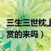 三生三世枕上電視劇預告曝光（這波顏值你欣賞的來嗎）