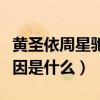 黃圣依周星馳的關系怎么樣（黃圣依被雪藏原因是什么）