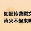 如懿傳曹曦文扮演的誰（顏值高演技為什么一直火不起來呢）