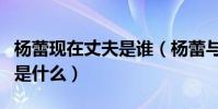 楊蕾現在丈夫是誰(楊蕾與戴志誠離婚的原因是什么)