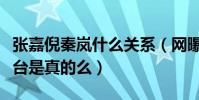 張嘉倪秦嵐什么關系(網曝張嘉倪曾推秦嵐下臺是真的么)