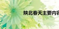 陜北春天主要內容50字