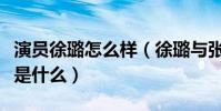 演員徐璐怎么樣(徐璐與張銘恩的分手原因會是什么)