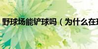 野球場能鏟球嗎(為什么在球場上才能鏟球)
