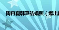 陶冉夏韓燕結婚照(爆出后網友驚呆了)