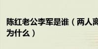 陳紅老公李軍是誰(兩人離婚的原因究竟是因為什么)
