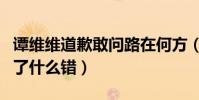 譚維維道歉敢問路在何方(粉絲疑惑譚維維翻了什么錯)