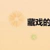 藏戲的主要內容用20個字概括