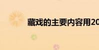 藏戲的主要內容用20個字概括